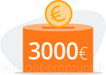 3000 euros